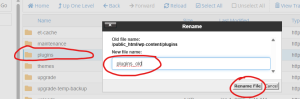 Rename Plugin Folder 