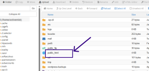 public_html Folder