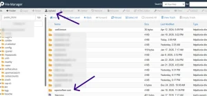 Upload Option in cPanel